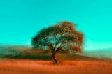 The Abstraction Trap: When Hiding Complexity Hinders Understanding and Performance