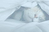 Want a Risk-Free Business? Learn 3 Ways to Keep Yourself Protected
