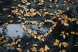 How Self-Love Transformed My Life