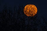 Shades of Halloween
