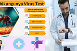 Chikungunya Virus Test: Unraveling the Importance of Early Detection