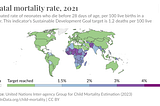 Newborn health, a drastic subject in developing nations