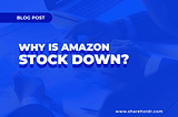 Why is Amazon Stock Down? A Year of Controversies