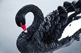 Black Swan