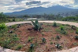 Santiago Matatlán, Oaxaca, Mexico: Mountain range in the distance with a tepeztate maguey and other small maguey in the ground enclosed in a circle.