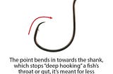 team-catfish-octopus-circle-offset-hook-8-1