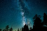 A dark night sky with stars. Blue, green, and white hues enhance the photo. Silloettes of evergreen trees at the bottom of the picture look like the trees are reaching for the stars.