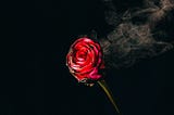 I Love Too Much (Poetry)