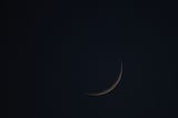Your Daily Horoscope For Sunday, August 4, 2024: The New Moon in Leo
