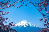 Mt.Fuji and cherry blossoms in Japan