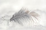 a feather on ice