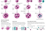 Genomic Complexity or Variation in Drastic Fitness Changes