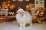 A very annoyed cat in a bakery, wearing counter attendant’s cap