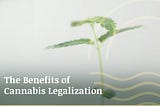 The Benefits of Cannabis Legalization