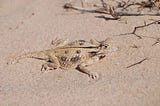 Creative Solutions for Species Management: The ESA Toolbox