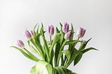 Tulips: The Astounding Flower Symbolizing Love & Royalty