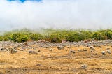 Bisnis Gelap dari Keindahan Gunung Gede
