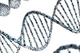 The DNA Strand of Information Systems
