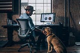 A designer patting his brown dog that is seated next to his desk.