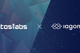 Iagon IDO Details Overview (#2)*