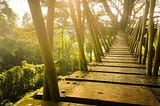 Why & How We Can Bridge Divides Together: Actions for Community-Led Futures