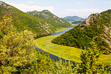 Guardians of the Lake Skadar: Protecting the Wildlife at the Edges of Europe