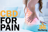 CBD For Pain — Does it work?