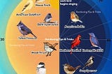 Thinking Citizen Blog — Dawn Chorus Versus Dusk Chorus, National Rivers, Six Stamens, One Pistil