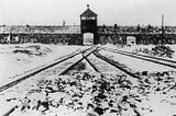 Evaluating Hitler’s ‘Final Solution’