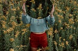 A woman in the middle of a flower field holds a circular mirror to the camera, reflecting the flowers and hiding her face.