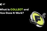 What Is COLLECT? How Fanable Bridges Physical Collectibles and Web3 Ownership
