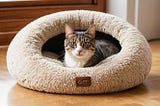 Cat-Bed-1