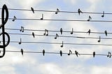 Birds sitting on wires with musical notes