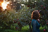 A woman with curly hair and a blue lace dress walks beside plum trees at sunset.