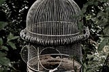 Like caged canary
She sang her heart out, knowing
Not why they listened