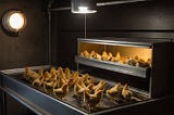 Chicken-Brooder-1