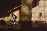 Work and Life: The Dutch Paradox
