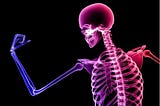 Friends of bones help in reducing the risk of fracture