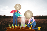 What’s Really Going On With Blockchain Networks