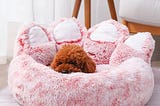 seahome-dog-bed-cat-pet-sofa-cute-bear-paw-shape-comfortable-cozy-pet-sleeping-beds-for-small-medium-1