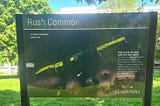 Restore Rush Common