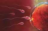 Article Access: ‘How Science Has Constructed a Romance Based on Stereotypical Male-female Roles’ by…