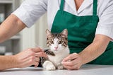 Drontal-For-Cats-1