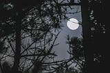 the moon was never lonely, it just learned to shine for no one