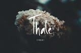 Thale Font