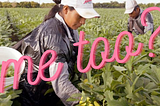 Female Migrant Farmworkers and Sexual Violence