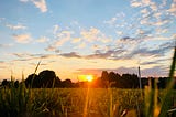 Just a Minute Devotional #71