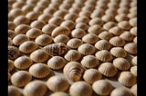 308-Shells-1