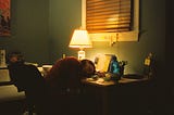 From CEO to Can’t Even: Executive Function Collapse in Midlife ADHD