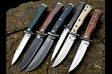 ESEE-Cm6-1